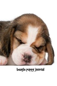 Beagle Puppy Journal