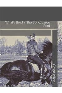 What's Bred in the Bone: Large Print