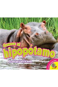 Conoce Al Hipopótamo
