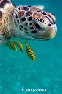 Turtle Journal