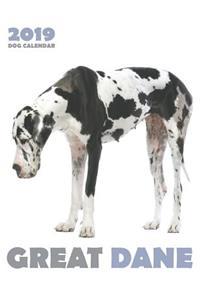 Great Dane 2019 Dog Calendar