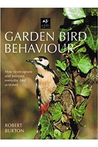 Garden Bird Behaviour