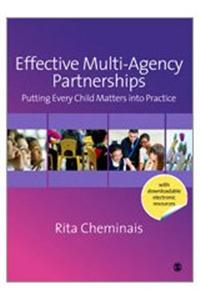 Effective Multi-Agency Partnerships