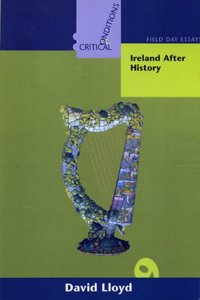 Ireland After History