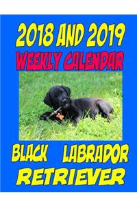 2018 and 2019 Weekly Calendar Black Labrador Retriever