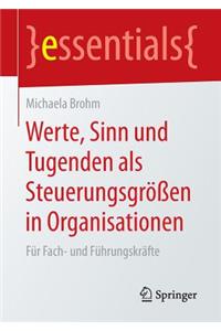 Werte, Sinn und Tugenden als Steuerungsgrößen in Organisationen