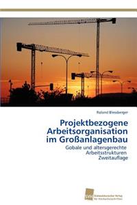 Projektbezogene Arbeitsorganisation im Großanlagenbau