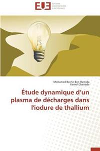 Étude Dynamique D Un Plasma de Décharges Dans l'Iodure de Thallium