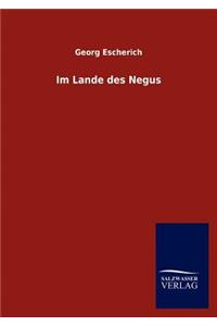 Im Lande des Negus