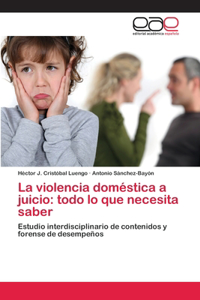 violencia doméstica a juicio