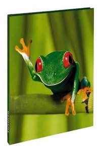 Frogs