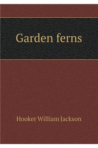 Garden Ferns