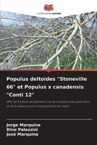 Populus deltoides 