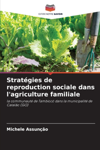 Stratégies de reproduction sociale dans l'agriculture familiale