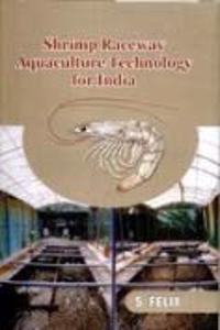 Shrimp Raceway Aquaculture Technology For India