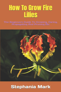 How To Grow Fire Lilies