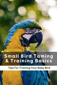 Small Bird Taming & Training Basics