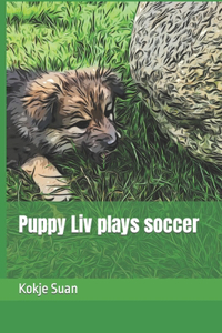 Puppy Liv plays soccer
