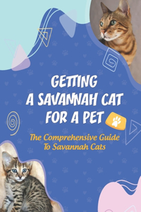 Getting A Savannah Cat For A Pet