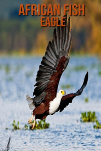 African Fish Eagle