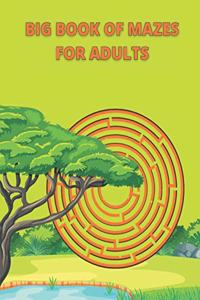 Big Book Of Mazes For Adults