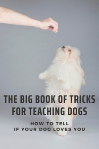 The Big Book Of Tricks For Teaching Dogs
