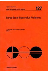 Large Scale Eigenvalue Problems