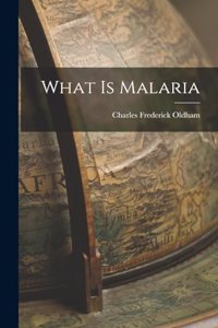 What is Malaria