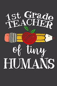1st Grade Teacher of Tiny Humans