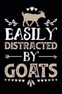 Easily Distracted By Goats