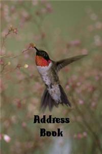 Address Book