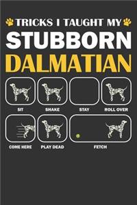 Dalmatian Journal