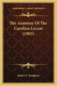 The Anatomy Of The Carolina Locust (1903)
