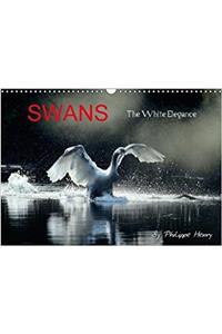 Swans / UK-Version 2018