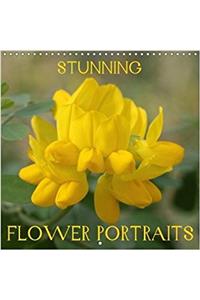 Stunning Flower Portraits 2018