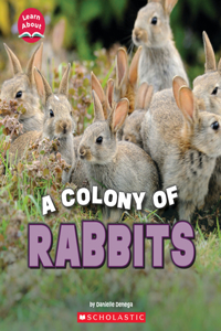 Colony of Rabbits (Learn About: Animals)