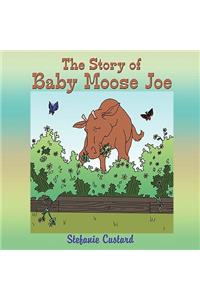 Story of Baby Moose Joe