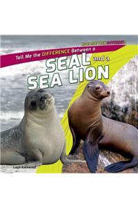 Tell Me the Difference Between a Seal and a Sea Lion