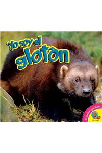 Glotón