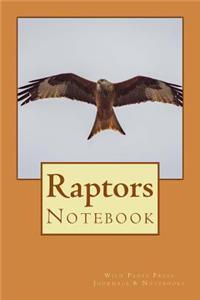 Raptors