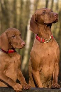 Two Charming Hungarian Viszla Dogs Pet Journal