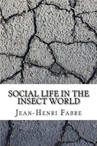 Social Life in the Insect World