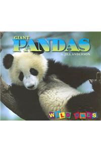 Giant Pandas