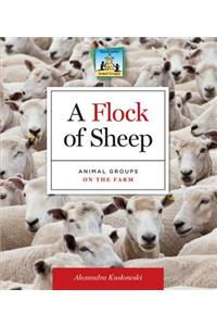 Flock of Sheep