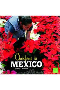 Christmas in Mexico