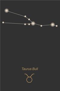 Taurus Bull