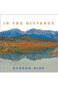 In the Distance