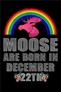 Moose Are Born In December 22th