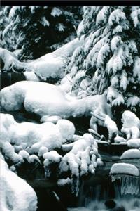 2020 Weekly Planner Winter Theme Breathtaking Scene 134 Pages