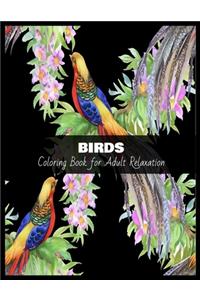 BIRDS Coloring Book for Adult Relaxation